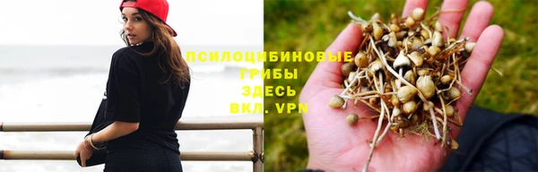 каннабис Абинск